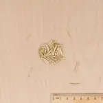 Potagères - Scorsonère Géante Noire de Russie - Légumes d'Autrefois - MEDIA_3D